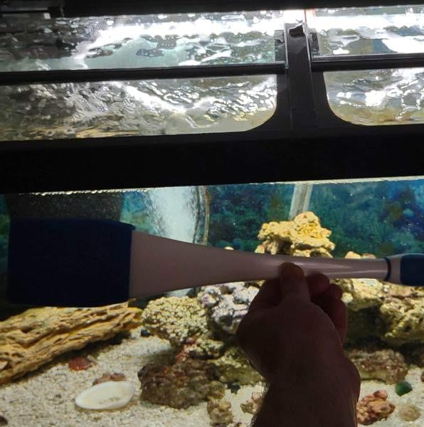 Long-Handle Tank Glass Scrub Cleaning Wand