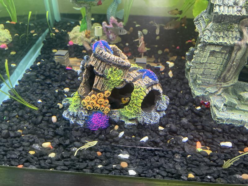 Coral Encrusted Sunken Barrel Cave Tank Decor