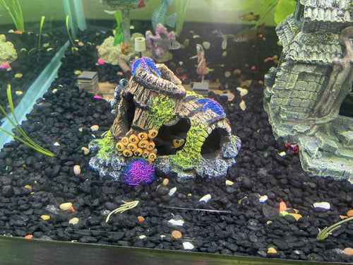 Coral Encrusted Sunken Barrel Cave Tank Decor