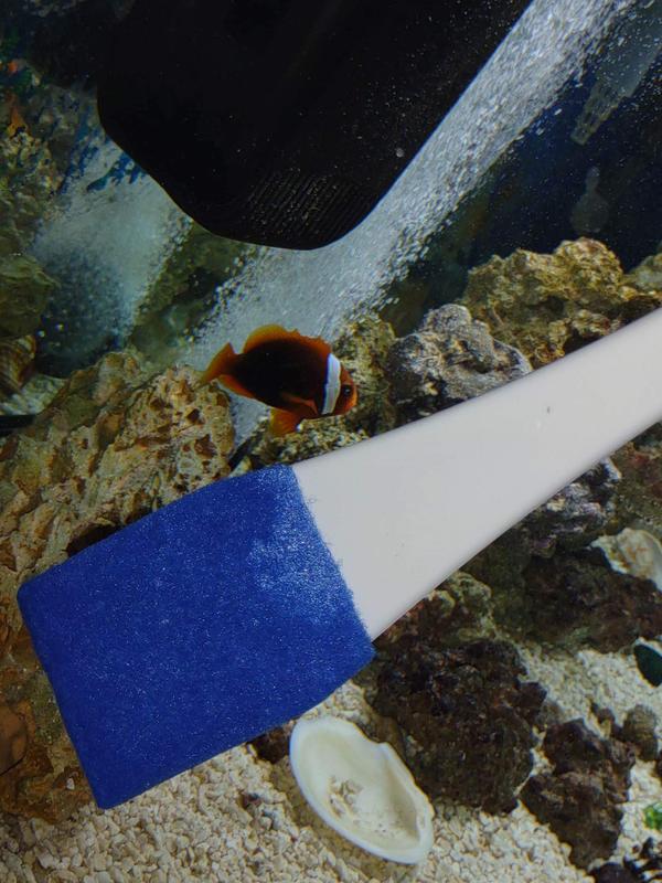 Long-Handle Tank Glass Scrub Cleaning Wand
