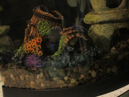 Coral Encrusted Sunken Barrel Cave Tank Decor